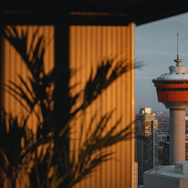 the calgary tower